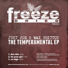 Just Joe & Max Britton - Promo Mix