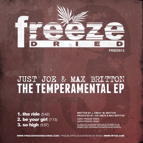 Just Joe & Max Britton - Promo Mix