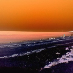 Tool, Schism, Live, cover by Humanimus, Soundstone 2003, Remastered vhs