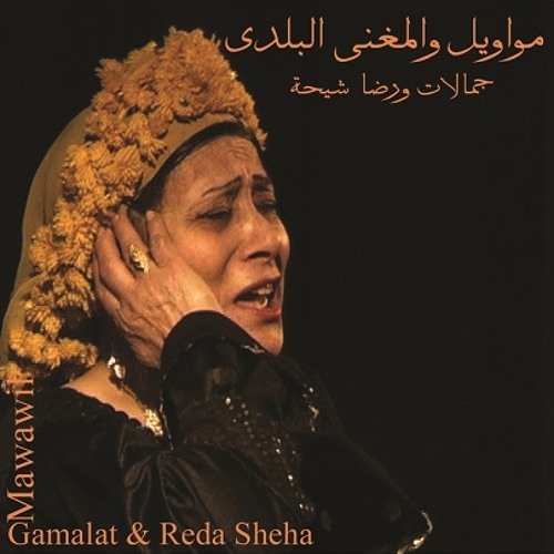 جمالات/ رضا شيحة - داري جمال العين