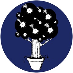 TT - Podcast 007 - Bongbeck