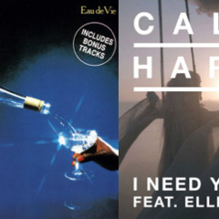Calvin Harris - I Need Your Love (WhitePeopleCan'tDance Bootleg)