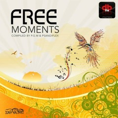 Space Venom _    My Imagination - V.A.- Free Moments (Savva Records)