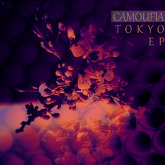 Camoufia - Limit of Light in Tokyo (Original Mix)