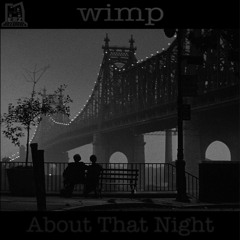 WIMP - About That Night