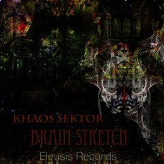 Khaos Sektor-Brainstretch