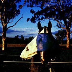 Jouko Perttula - My Little Pony Mixtape