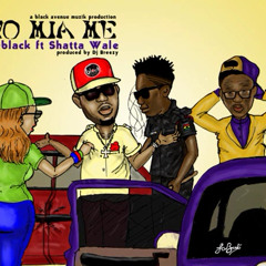 D-Black ft Bandana (Shatta Wale) - Wo Mia Me [Prod.By DJ Breezy]