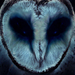 Jorge Ciccioli - Owl