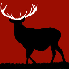 ANIMAL KEEPER(George Barnett)cover