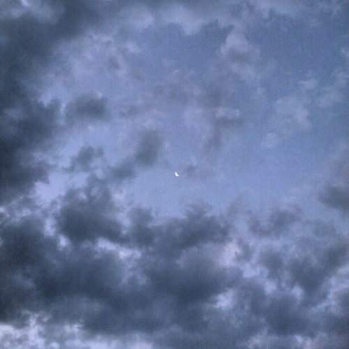 Go And Blow Your Whistle