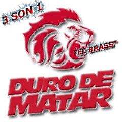 ESCOGIDO DURO DE MATAR