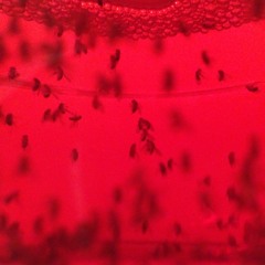 a life left in ruins