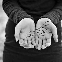 Baba Zula Brenna Maccrimon - Ben Bir Martı Olsam