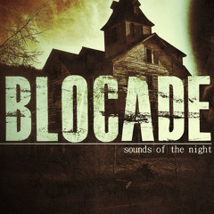 8.Surveyor of the night