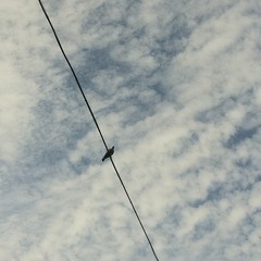 To Be Alone