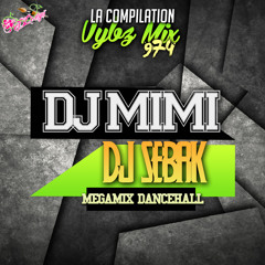 Dj MiMi Feat Dj Sébak Mégamix Dancehall