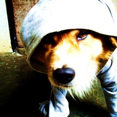 Hold On We're Going Home / I need Your Love