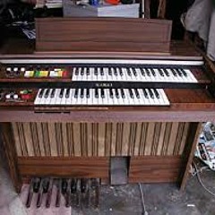 Organ Plays the Salad Boys - Daytime TV