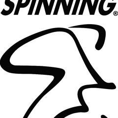 CD211 Journey To The Sun