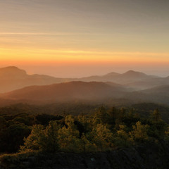 This Morning - ZEEHOT