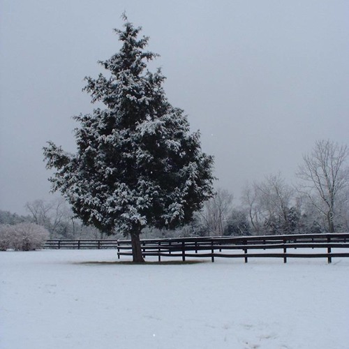 stream-chance-of-snow-tonight-by-redd-productions-listen-online-for