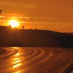 Sunshine (Original Mix)