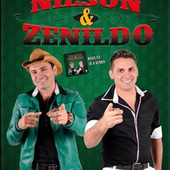 Por Que A Gente Briga Tanto - Nilson e Zenildo