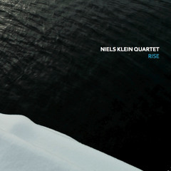 It Only Took - Niels Klein Quartet