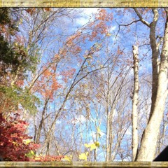 Amaranth - Nightwish (violin solo cover)