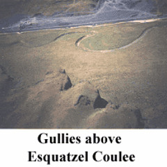 Deep Gully