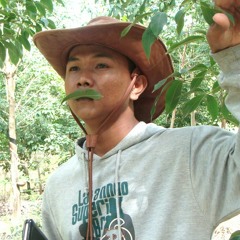 តូបកម្សត់អត់ស្នេហ៍