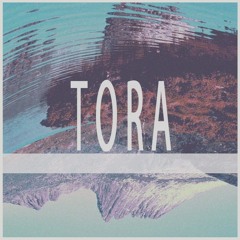 Tora - Future Man - Dubfonik Remix (Free Download)