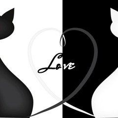 Best of Loon