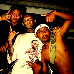 CentrosideX3