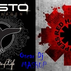Tiesto Ft Red Hot Chili Peppers Tung Otherside Oscar Dj Remix