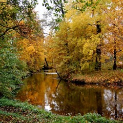 Enen - Antydepresant Gość. Karolina Karczewska, Jack Flo, Batman