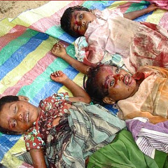 Run Tamil Run!!!  Andi Vincent. ©