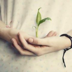 همة شباب ♥ .. أمين حاميم