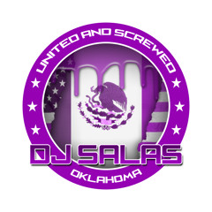 Z-Ro-Rollin On Swangas(Chopped & Screwed)BY DJ SALAS