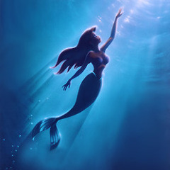 Part Of Your World (Little Mermaid Soundtrack)