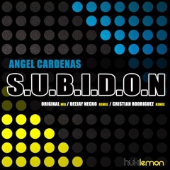 Angel Cardenas - S.U.B.I.D.O.N (Deejay Necro Official Remix)