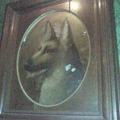 Cat's Away Mix Nov 2013