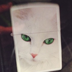 Hart Am Wind (Coop. Elias & Moritz)