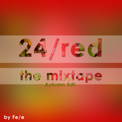 24/red  (minitape)by fe/e