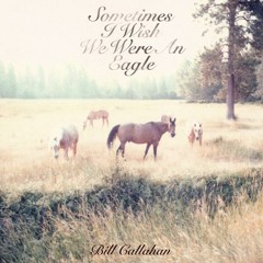 Bill Callahan - All Thoughts Are Pray For Some Beast