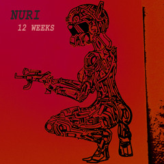 12 Weeks