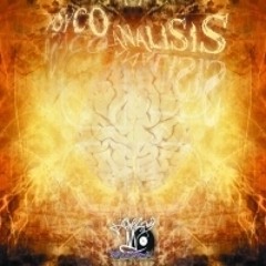 EL MEJOR DE MIS EMBLEMAS ( LA VICTORIA )- INFANTERIA