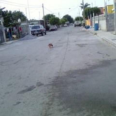 Ragged Streets