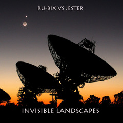 Invisible Landscapes 005